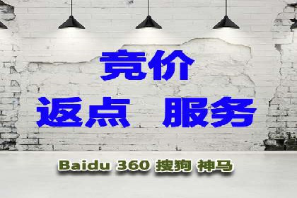 SEM服务公司助力企业流量增长案例